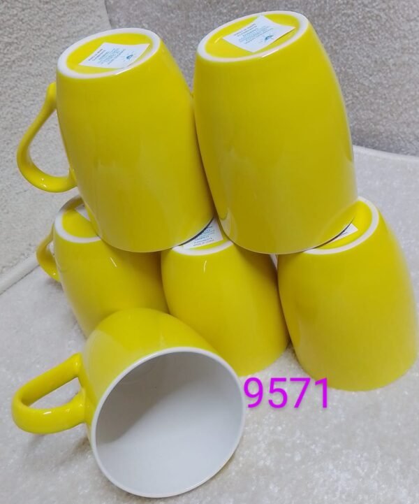 Classic 6pcs Ceramic Coffee Mug